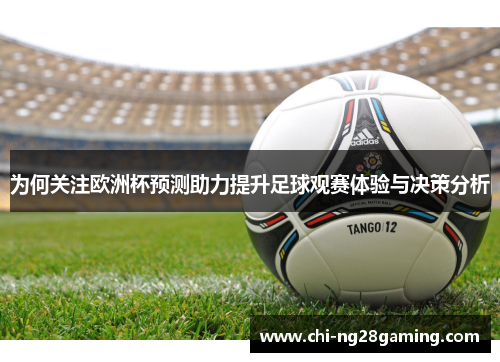 为何关注欧洲杯预测助力提升足球观赛体验与决策分析