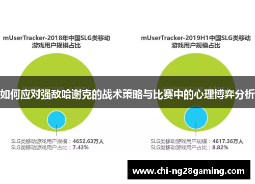 如何应对强敌哈谢克的战术策略与比赛中的心理博弈分析 如何应对强敌哈谢克的战术策略与比赛中的心理博弈分析