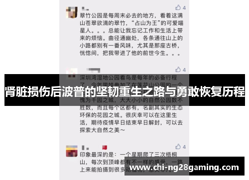 肾脏损伤后波普的坚韧重生之路与勇敢恢复历程 肾脏损伤后波普的坚韧重生之路与勇敢恢复历程