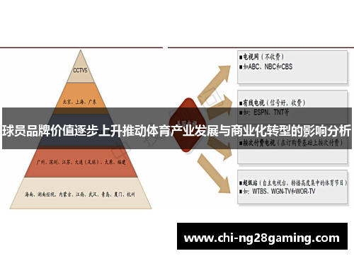 球员品牌价值逐步上升推动体育产业发展与商业化转型的影响分析
