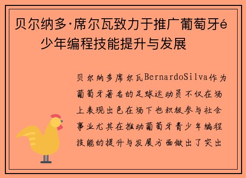 贝尔纳多·席尔瓦致力于推广葡萄牙青少年编程技能提升与发展