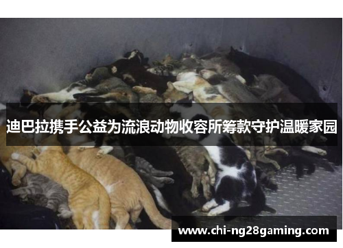 迪巴拉携手公益为流浪动物收容所筹款守护温暖家园